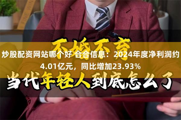 炒股配资网站哪个好 合合信息：2024年度净利润约4.01亿元，同比增加23.93%