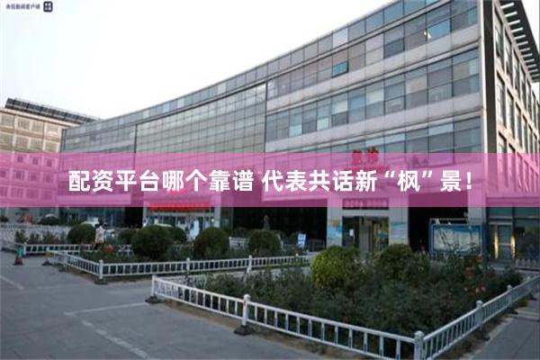 配资平台哪个靠谱 代表共话新“枫”景！