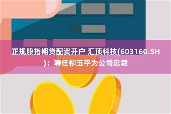 正规股指期货配资开户 汇顶科技(603160.SH)：聘任柳玉平为公司总裁