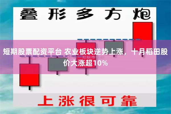 短期股票配资平台 农业板块逆势上涨，十月稻田股价大涨超10%