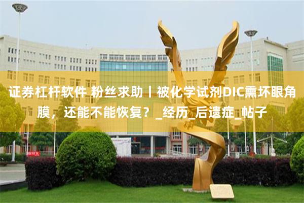 证券杠杆软件 粉丝求助丨被化学试剂DIC熏坏眼角膜，还能不能恢复？_经历_后遗症_帖子