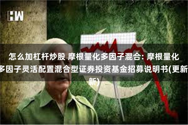 怎么加杠杆炒股 摩根量化多因子混合: 摩根量化多因子灵活配置混合型证券投资基金招募说明书(更新)
