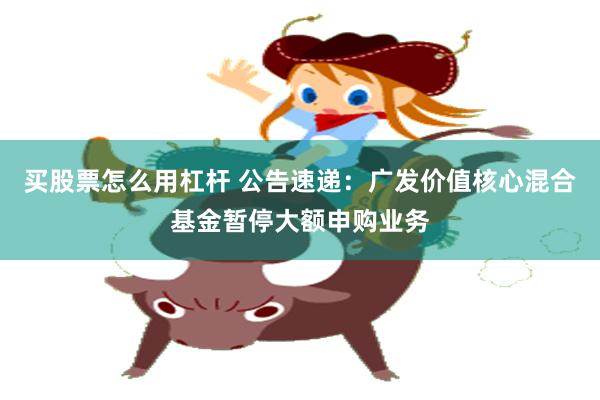 买股票怎么用杠杆 公告速递：广发价值核心混合基金暂停大额申购业务