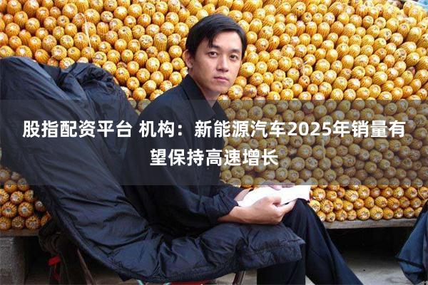 股指配资平台 机构：新能源汽车2025年销量有望保持高速增长