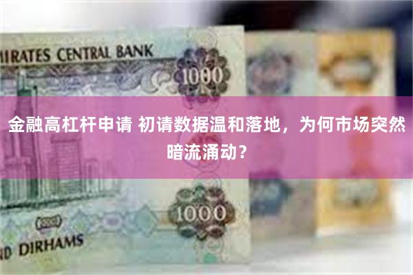金融高杠杆申请 初请数据温和落地，为何市场突然暗流涌动？